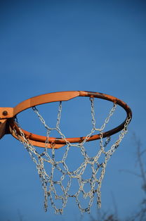 开云竞猜官网-篮球运动员专项体能训练计划智能化设计与实施，篮球运动员体能训练的内容有哪些