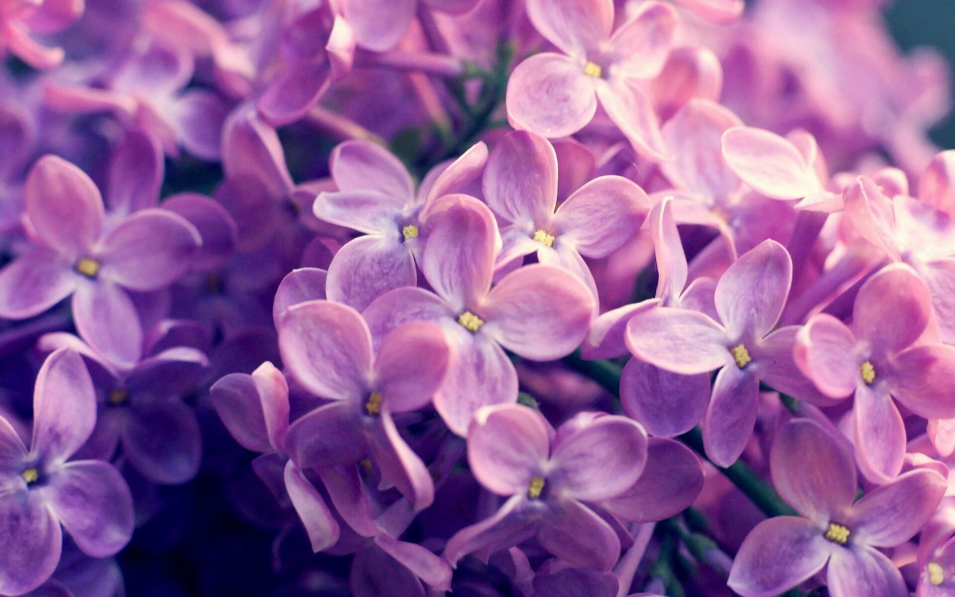 开云体育链接-切尔西防守反击效果显著，完美执行，切尔西防守怎么这么强