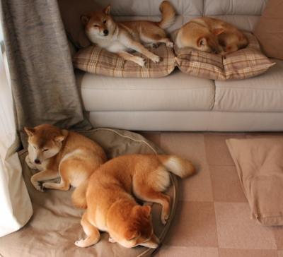 开云真人娱乐官网-国家男篮通过视频回看加强战术学习和复盘，男篮国家队视频